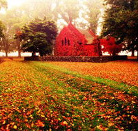 Gostwyck Chapel - New South Wales Tourism 