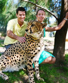 National Zoo & Aquarium - New South Wales Tourism  0