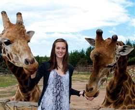 National Zoo & Aquarium - New South Wales Tourism  2