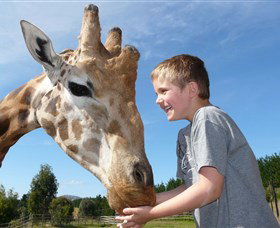 National Zoo & Aquarium - New South Wales Tourism  3