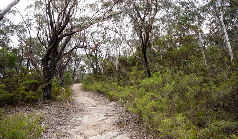 Doctors Gap NSW New South Wales Tourism 