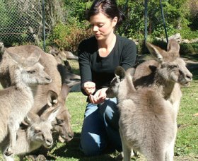 Canons Shuttles Day Tours - New South Wales Tourism  0