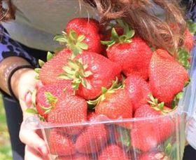 Mia Cucina Walking Food Tours - New South Wales Tourism  5