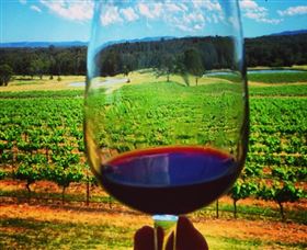 One Day Hunter Valley Day Tours And East Coast Adventures - Zepher Tours - New South Wales Tourism  4
