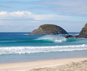 Surfaris Surf Camp - New South Wales Tourism  4