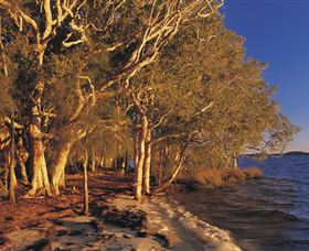 East Coast Adventure Bus - New South Wales Tourism  2