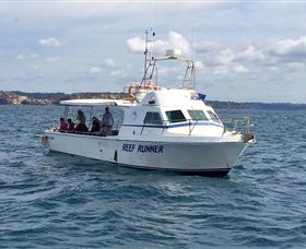 Deep Sea Fishing Charter - New South Wales Tourism  3