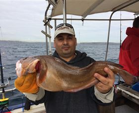 Deep Sea Fishing Charter - New South Wales Tourism  5