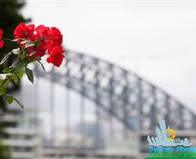 Sydney Photo Tours - New South Wales Tourism  3