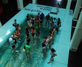 I'm Free Tours - New South Wales Tourism  1