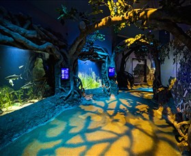 SEA LIFE Sydney Aquarium - New South Wales Tourism  2