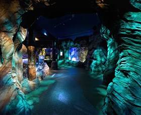 SEA LIFE Sydney Aquarium - New South Wales Tourism  3