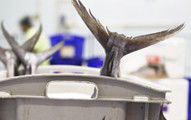 Sydneys Fish Market - New South Wales Tourism  3