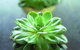 Crossroads Homemaker Centre - thumb 1