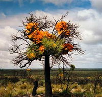 The Delmar Gallery - New South Wales Tourism 