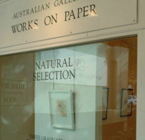 Australian Galleries - Roylston Street - New South Wales Tourism  1