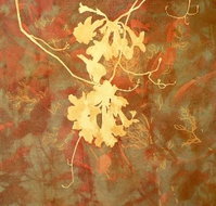Fellia Melas Gallery - New South Wales Tourism 