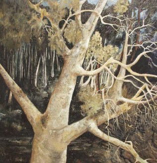 Kearns NSW New South Wales Tourism 