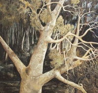 Ku-Ring-Gai Art Centre  Gallery - New South Wales Tourism 