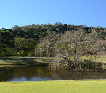 Antill Park Country Golf Club - New South Wales Tourism  1