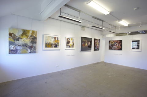 Incinerator Art Space - New South Wales Tourism  0
