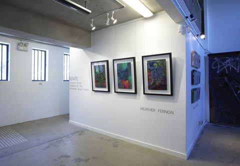 Incinerator Art Space - New South Wales Tourism  4