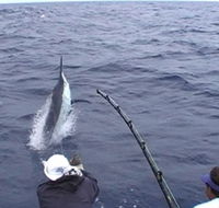 Amokura Charters - New South Wales Tourism 