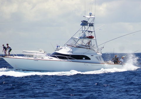 Amokura Charters - New South Wales Tourism  2