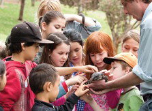 Blackbutt Reserve - New South Wales Tourism  2