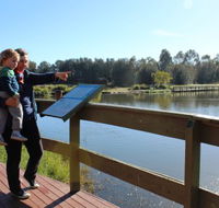 Hunter Wetlands Centre Australia - New South Wales Tourism 