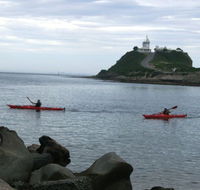 Newcastle Kayak Tours - New South Wales Tourism 