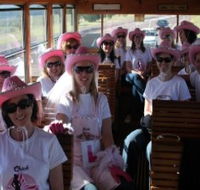 Newcastles Famous Tram - New South Wales Tourism 