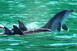 Sydney Weekend Adventures - New South Wales Tourism  1