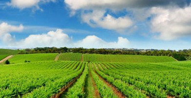 Sydney Weekend Adventures - New South Wales Tourism  2