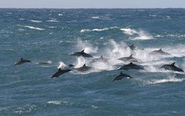  New South Wales Tourism 