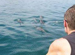 Tex Tours - New South Wales Tourism  3