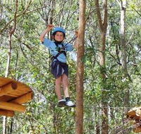 TreeTops Newcastle - New South Wales Tourism 