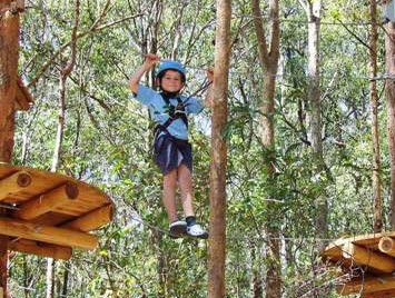 TreeTops Newcastle - New South Wales Tourism  0