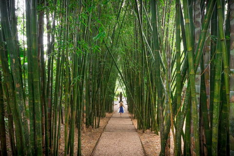 Crystal Castle & Shambhala Gardens - New South Wales Tourism  1