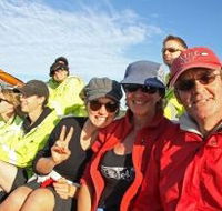 Byron Bay Whale Watching - New South Wales Tourism 