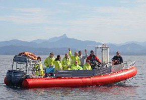 Byron Bay Whale Watching - New South Wales Tourism  2