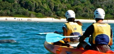 Go Sea Kayak - New South Wales Tourism  2