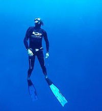 Byron Bay Dive Centre - New South Wales Tourism  1