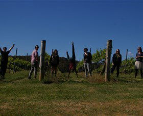 Grape Escape - New South Wales Tourism  3