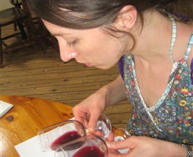 Wine Country Tours - New South Wales Tourism  6