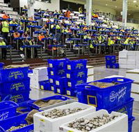Sydney Fish Market - New South Wales Tourism 