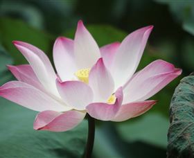 The Aperture Club - New South Wales Tourism  0