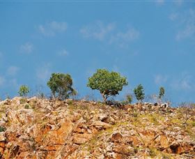 The Aperture Club - New South Wales Tourism  3