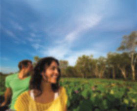 AAT Kings Guided Tours (Top End) - New South Wales Tourism  3