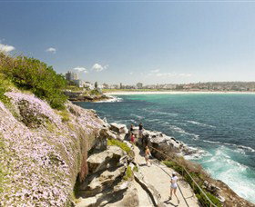Bondi To Coogee Coastal Walk - New South Wales Tourism  4